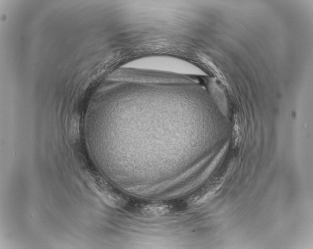 X0000086940213200705071426