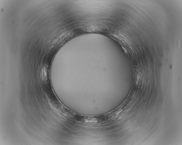 X0000086940214200705071426