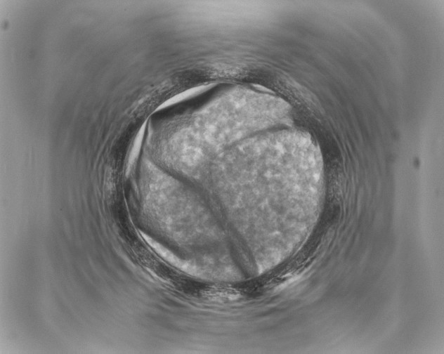 X0000086940215200705071426