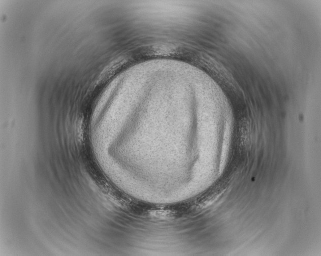 X0000086940216200705071426