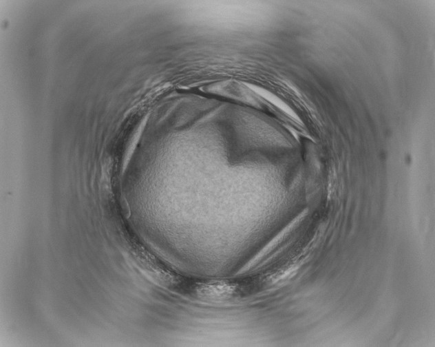 X0000086940217200705071426