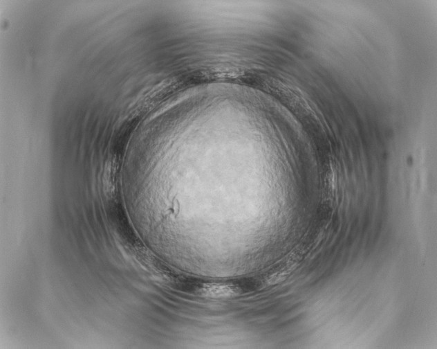 X0000086940218200705071426