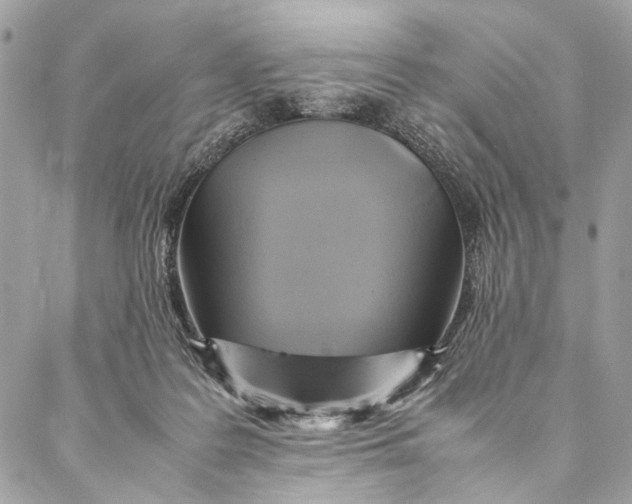 X0000086940219200705071426