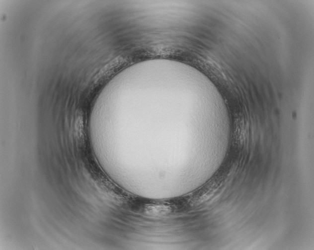 X0000086940220200705071426