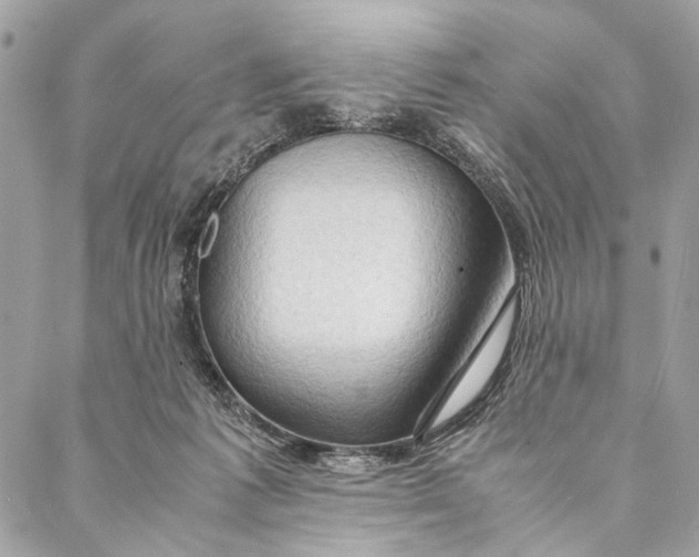 X0000086940221200705071426