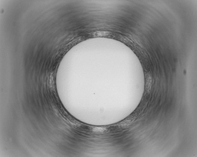 X0000086940222200705071426