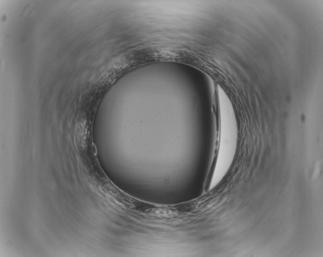 X0000086940223200705071426