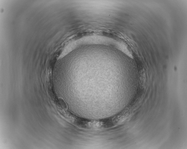 X0000086940225200705071426