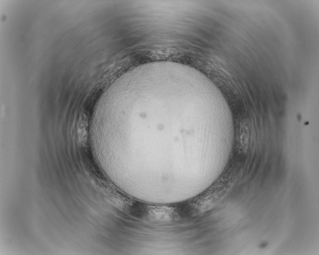 X0000086940226200705071426