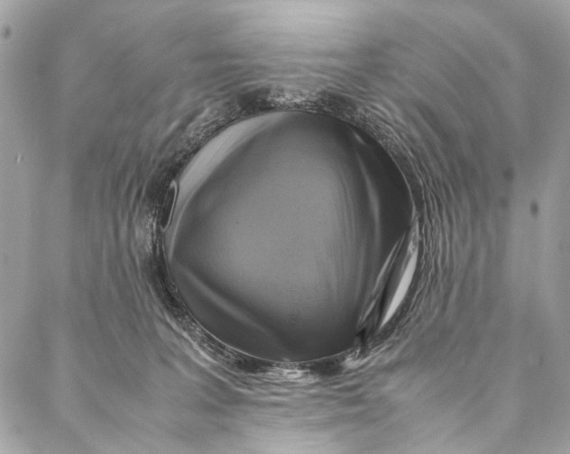 X0000086940227200705071426