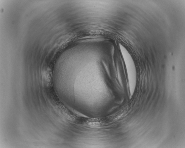 X0000086940228200705071426