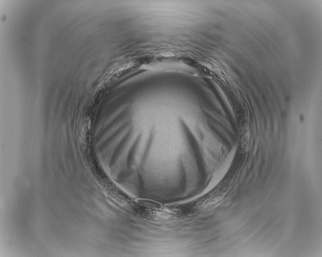 X0000086940229200705071426