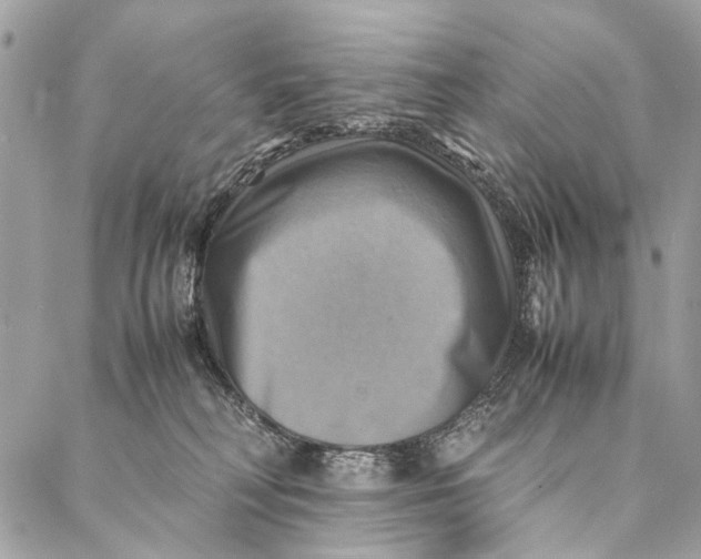 X0000086940230200705071426