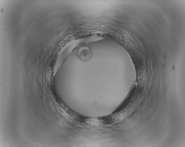 X0000086940231200705071426