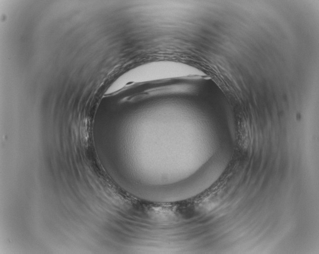 X0000086940232200705071426