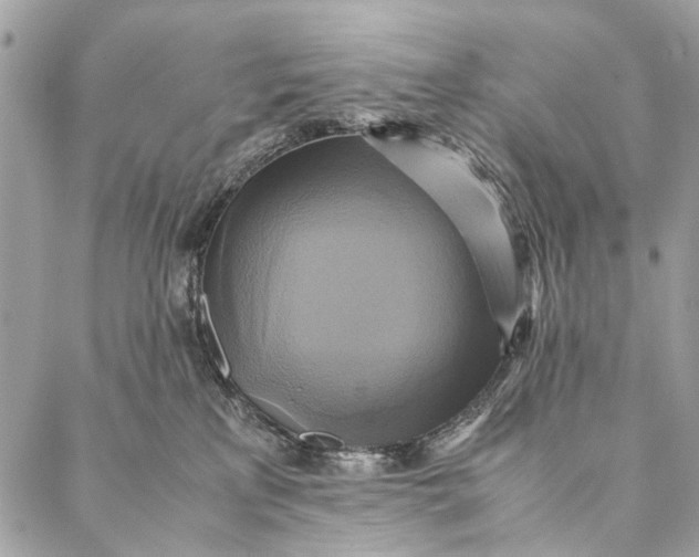 X0000086940233200705071426