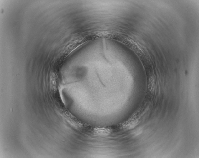 X0000086940234200705071426