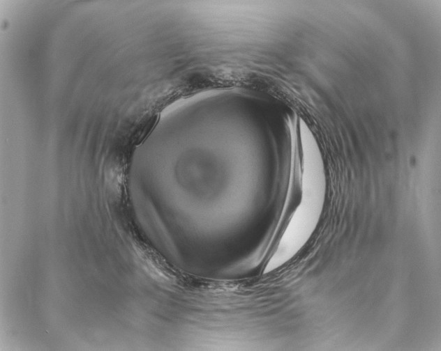 X0000086940235200705071426