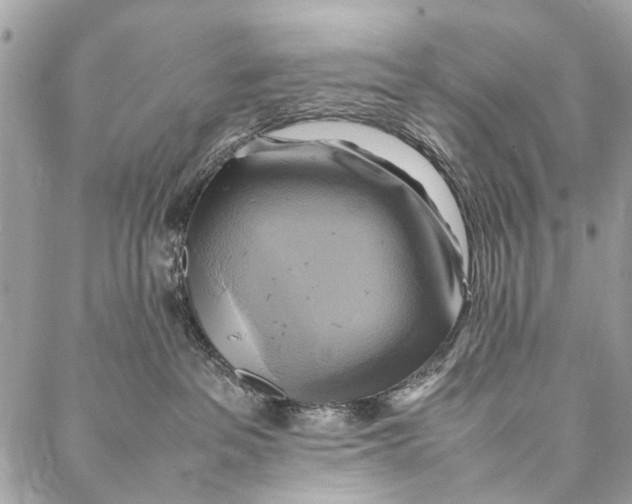 X0000086940237200705071426