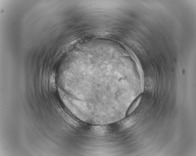 X0000086940238200705071426