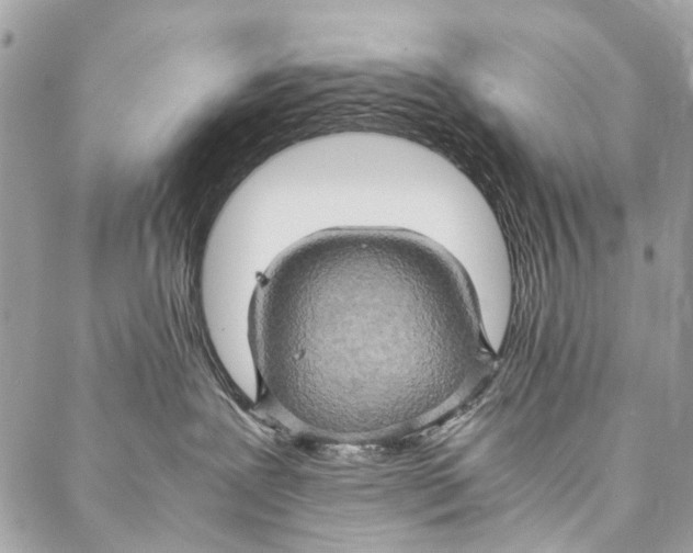 X0000086940239200705071426