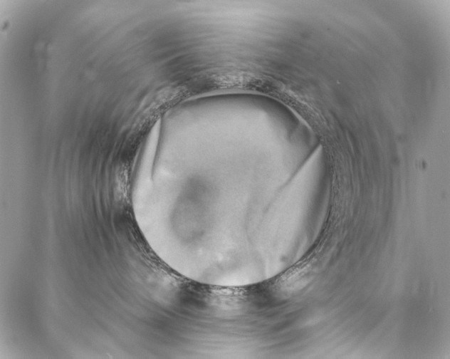 X0000086940240200705071426