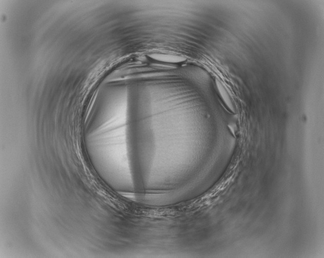 X0000086940241200705071425