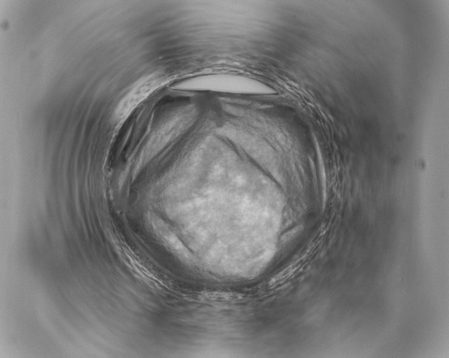 X0000086940242200705071425