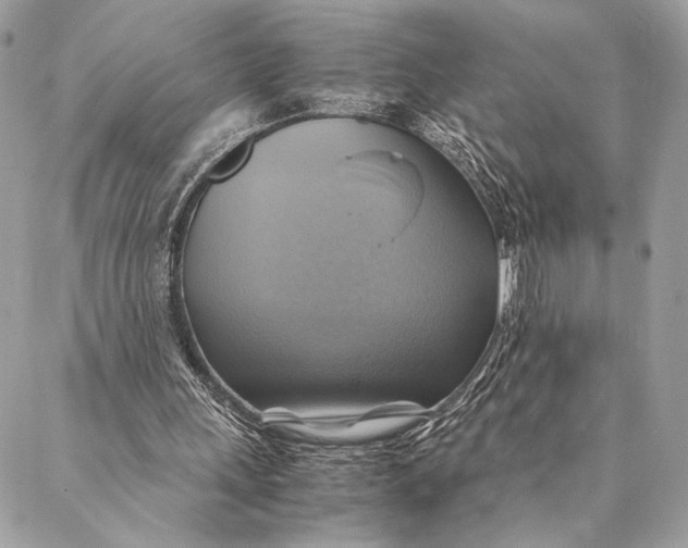 X0000086940243200705071425