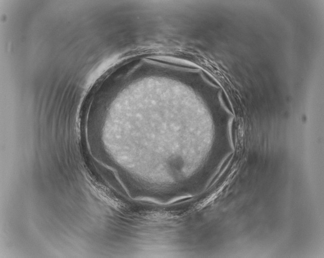 X0000086940246200705071425