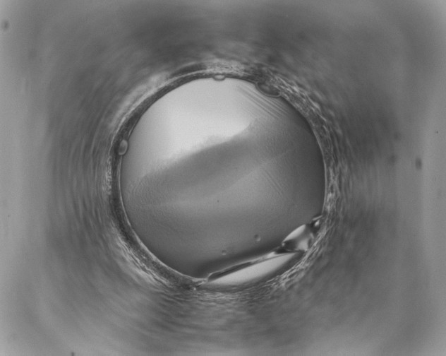 X0000086940247200705071425