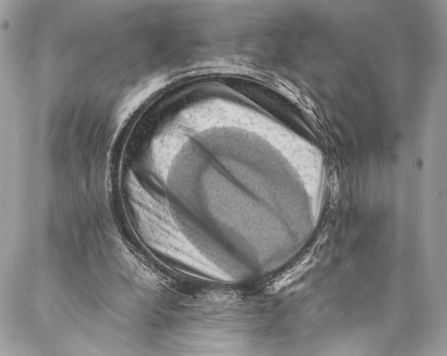 X0000086940248200705071425