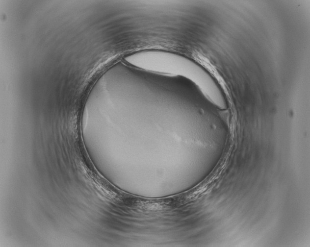 X0000086940249200705071425