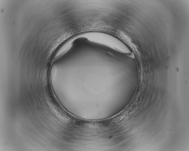 X0000086940250200705071425