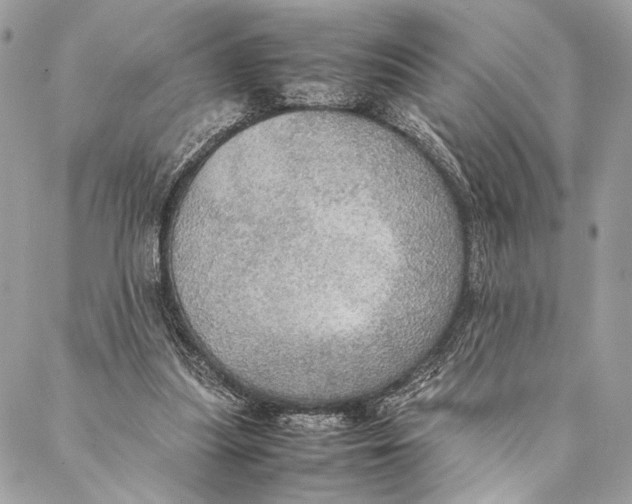 X0000086940251200705071425