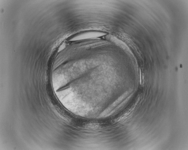 X0000086940252200705071425