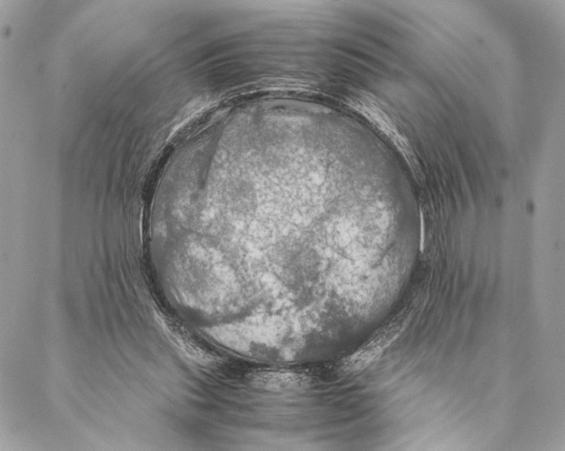 X0000086940253200705071425