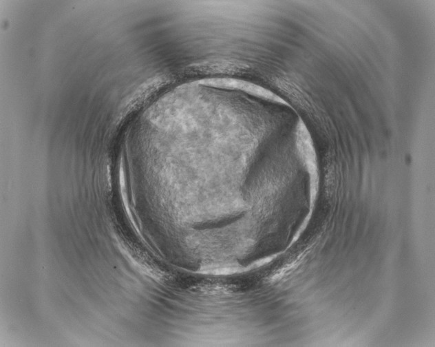 X0000086940254200705071425