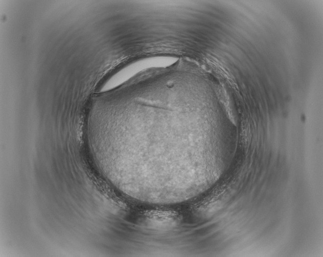 X0000086940255200705071425