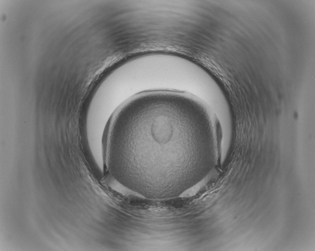 X0000086940256200705071425