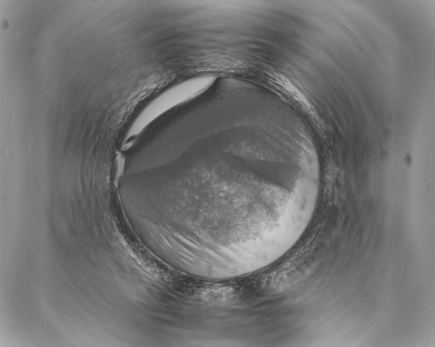 X0000086940257200705071425