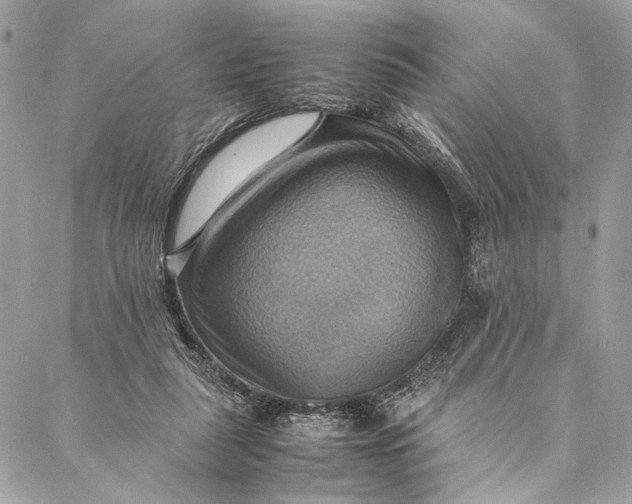 X0000086940259200705071425