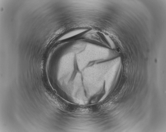 X0000086940260200705071425