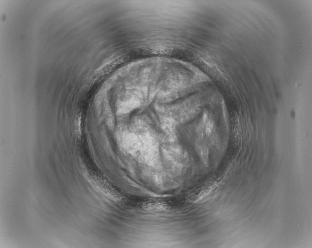 X0000086940262200705071425