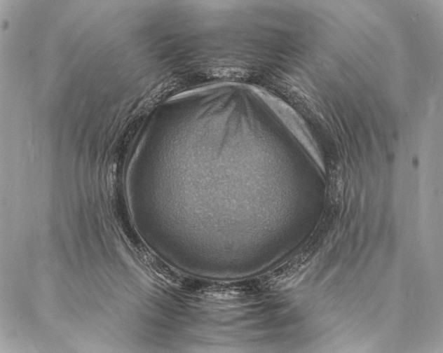 X0000086940263200705071425