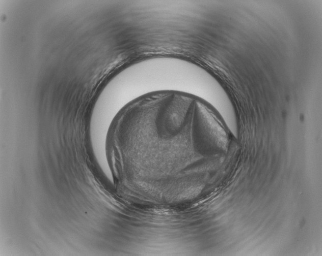 X0000086940264200705071425