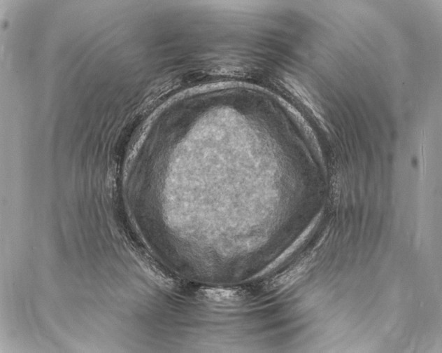 X0000086940265200705071425