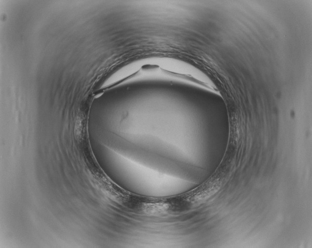 X0000086940266200705071425