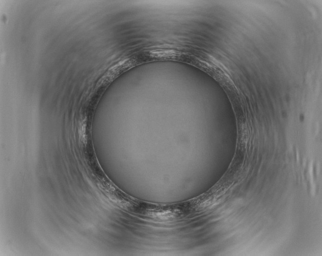 X0000086940267200705071425