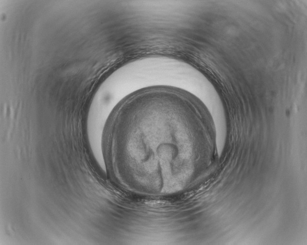 X0000086940268200705071425